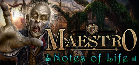 maestro notes of life